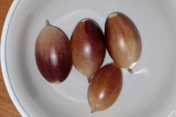 Tomate Indigo Kumquat - Saatgut (BIO)