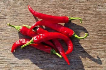 Chili Cayenne Long Slim - Pflanze (BIO), Schrfegrad 8 - NEU