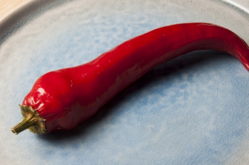 Paprika Antalya Dan - Pflanze (BIO), Schrfegrad 1