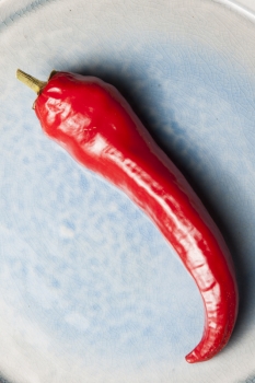 Paprika Antalya Dan - Pflanze (BIO), Schrfegrad 1