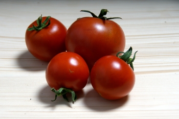 Tomate Bogus Fruchta - Pflanze (BIO)
