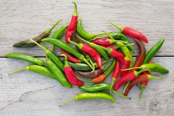 Chili Taeyang medium - Pflanze (BIO), Schrfegrad 2-4