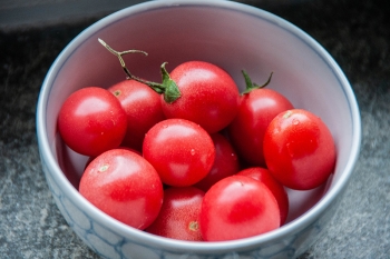 Tomate Dreiksehoch - Pflanze (BIO)