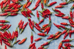 Chili Mini Chili - Pflanze (BIO), Schrfegrad 8