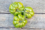 Tomate Aunt Rubys German Green - Pflanze (BIO)