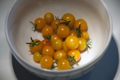 Tomate Golden Currant - Pflanze (BIO)