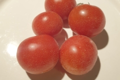 Tomate Angora Supersweet - Saatgut (BIO)