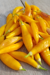 Chili Aji Challuaruro Amarillo - Saatgut (BIO), Schrfegrad 6