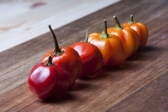 Chili Scotch Bonnet Espiritu Santo Red - Saatgut (BIO), Schrfegrad 10