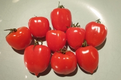 Tomate Taubenherz - Pflanze (BIO)