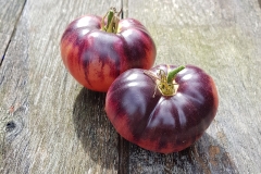 Tomate Blue Beauty (Ersatz fr Amethyst Jewel) - Pflanze (BIO)