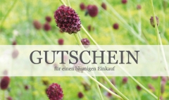 40  - Gutschein