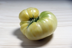 Tomate White Beauty - Pflanze (BIO)