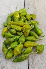 Chili Evergreen - Pflanze (BIO), Schrfegrad 8