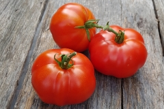 Tomate Marmande - Pflanze (BIO)