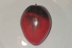 Tomate Pascal de Picardie - Pflanze (BIO)